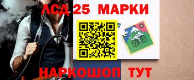 шишки Ставрополь