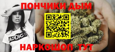 шишки Ставрополь
